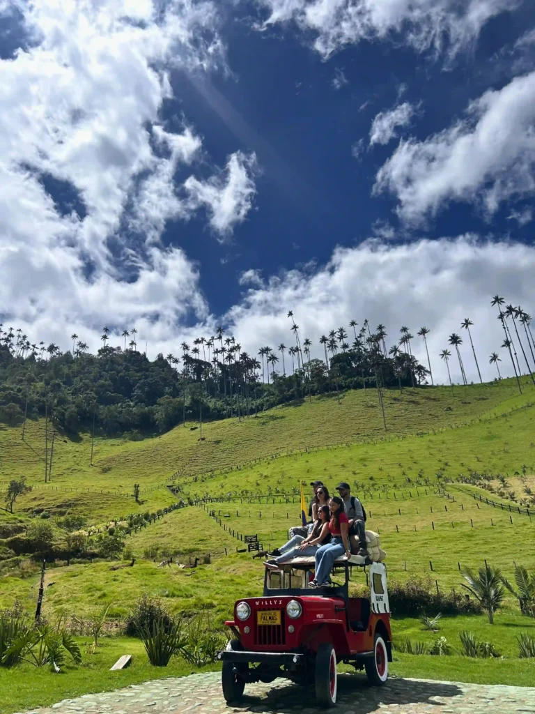 valle cocora