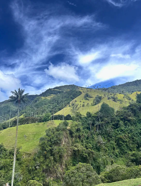valle de cocora