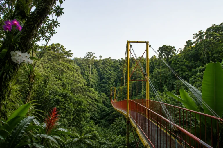tour jardin botanico quindio
