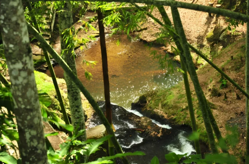 finca palermo 2