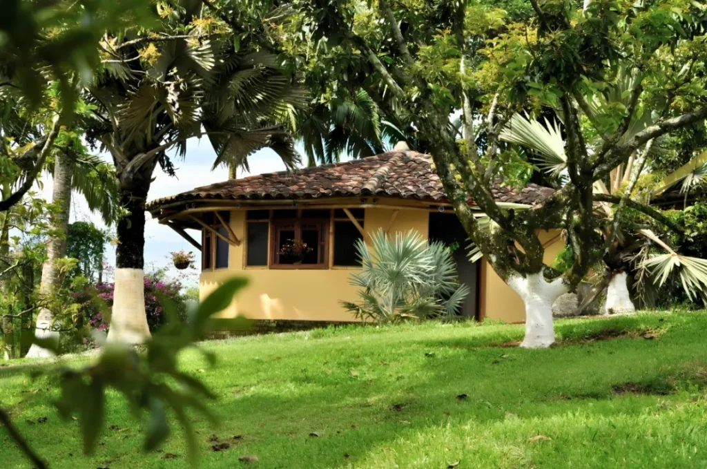 finca palermo 8